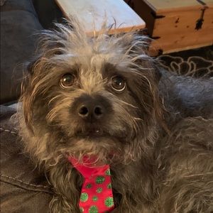 Meet your Posher, Heidi